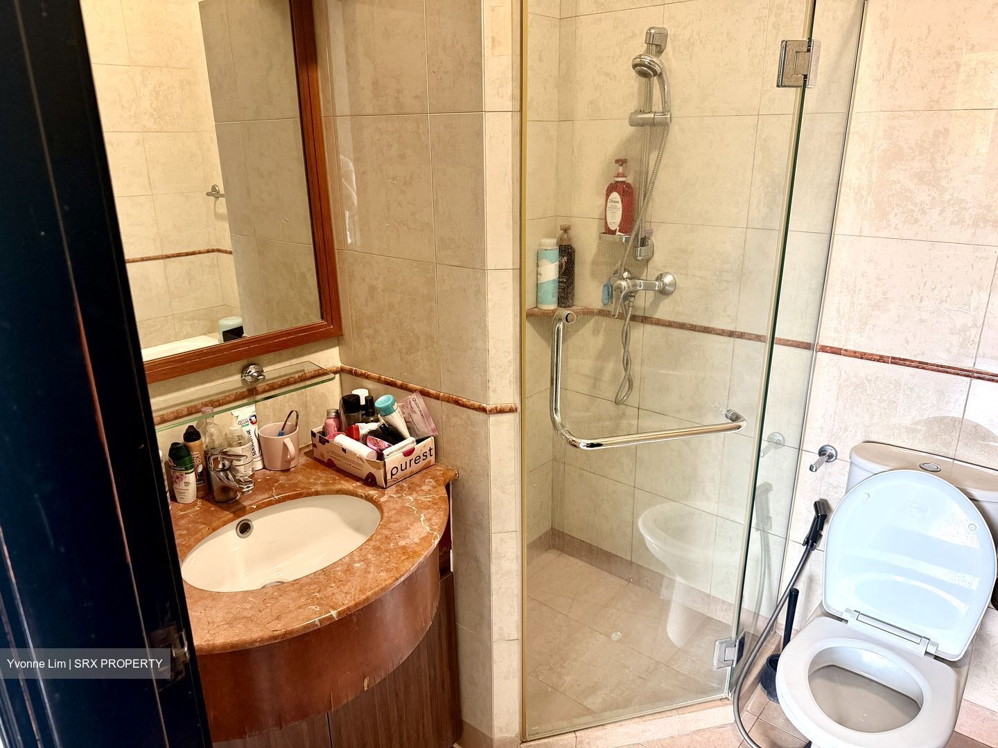 Seletar Springs Condominium (D28), Condominium #583435031
